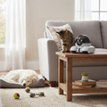 Pet Camera with Night Vision & Remote Control