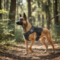 Tactical No Pull Dog Harness by AtlasBay