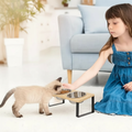 Elevated Cat Bowl with Stainless Steel Dishes