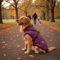 Waterproof Winter Dog Jacket with Sherpa Fleece & Harness