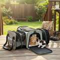 Foldable Pet Carrier Bag for Small Pets