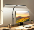 Dual Head LED Desk Lamp with Adjustable Brightness