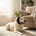 Dog Ear Protectors for Noise Reduction