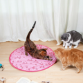 Interactive Hunting Cat Toy with Dual Play Modes