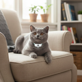 Interactive Laser Cat Collar with USB Charging