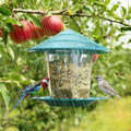 Hanging Bird Feeder with Automatic Seed Dispenser