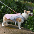 Dog Cooling Vest - Water-Activated Relief