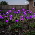 Solar Halloween Eyeball Lights - 6 Pack Garden Props