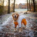 Water-Resistant Dog Parka - Small to Medium Size