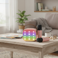 Wireless Karaoke Machine with 2 Microphones