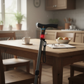 LED Walking Stick for Seniors with Radio & Light