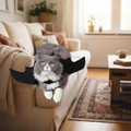 Bat Wing Pet Halloween Costume