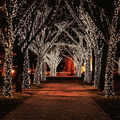 Solar Fairy Lights 100 LED - 17 Meter String