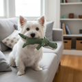 Durable Dog Chew Toy - Textured Cylinder for Teething