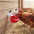 Chicken Waterer Set - 10 Pack Auto-Fill Poultry Drinkers