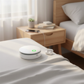 Portable Air Purifier with Odor Eliminator