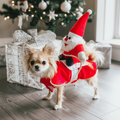 Santa Riding Dog Christmas Costume