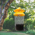 Reusable Outdoor Fly Trap - Pack of 2