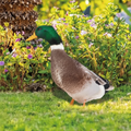 Double-Sided Duck Garden Stake Decoration