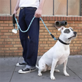 Reflective Dog Leash with Padded Handle