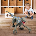 Remote Control Dinosaur Raptor X Toy