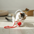 Smart Interactive Cat Ball Toy | AtlasBay