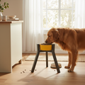 Elevated Dog Bowl Stand | 13.7" Adjustable Height Feeder