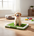Indoor Dog Potty Toilet with Artificial Turf