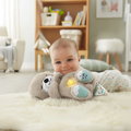 Interactive Teddy Bear with Soothing Sounds & Lights
