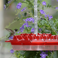 Hummingbird Feeder with Ant Moat - 30 Ports