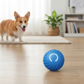 Interactive Rolling Ball Pet Toy & Anxiety Fidget Spinner