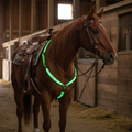 LED Breast Collar for Horses - Rechargeable Safety Light