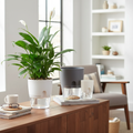 Self Watering Planter Pot for Indoor Plants