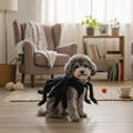 Pet Spider Costume - Funny Halloween Outfit for Dogs & Cats