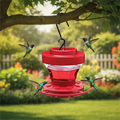 Bee Proof Hummingbird Feeder with Perches