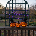 LED Spider Web Decoration with Lights & Spider