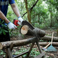 Cordless Chainsaw 6-Inch Compact & Lightweight