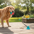 Dog Suction Toy - Interactive Chew Toy with Cup