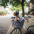 Dog Motorcycle Helmet with Goggles