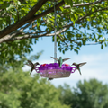 Ant-Proof Hummingbird Feeder with Raised Diamond Ports