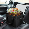 Portable Food Warmer Lunch Box | 12V/24V/110V
