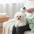 2-in-1 Smart Dog Hair Dryer with Brush