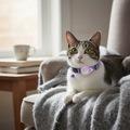 Waterproof Reflective Pet AirTag Collar Holder