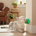 Premium Catnip Balls for Cats - 4 Pack