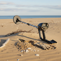 Professional Metal Detector for Gold & Treasure Hunting