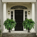 UV-Resistant Artificial Boston Fern 27.5"