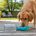Portable Dog Water Bottle with Foldable Bowl