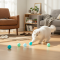 Interactive Pet Ball - Auto Rolling Toy for Dogs & Cats