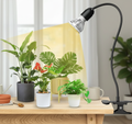 Full Spectrum LED Gooseneck Grow Light for Indoor Plants