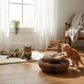 Magic Organ Cat Scratching Board